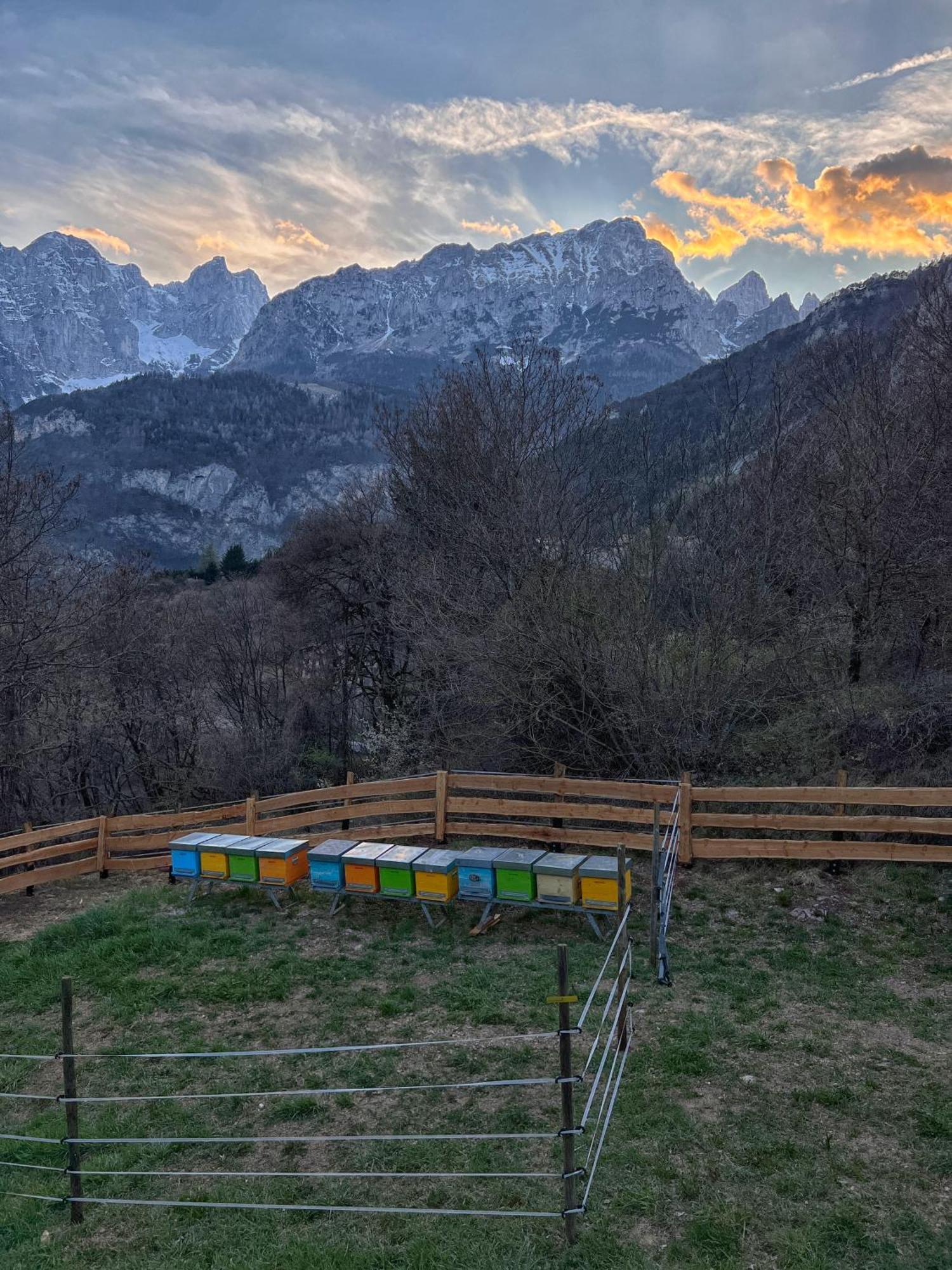 Agriturismo Ai Castioni Molveno Ngoại thất bức ảnh