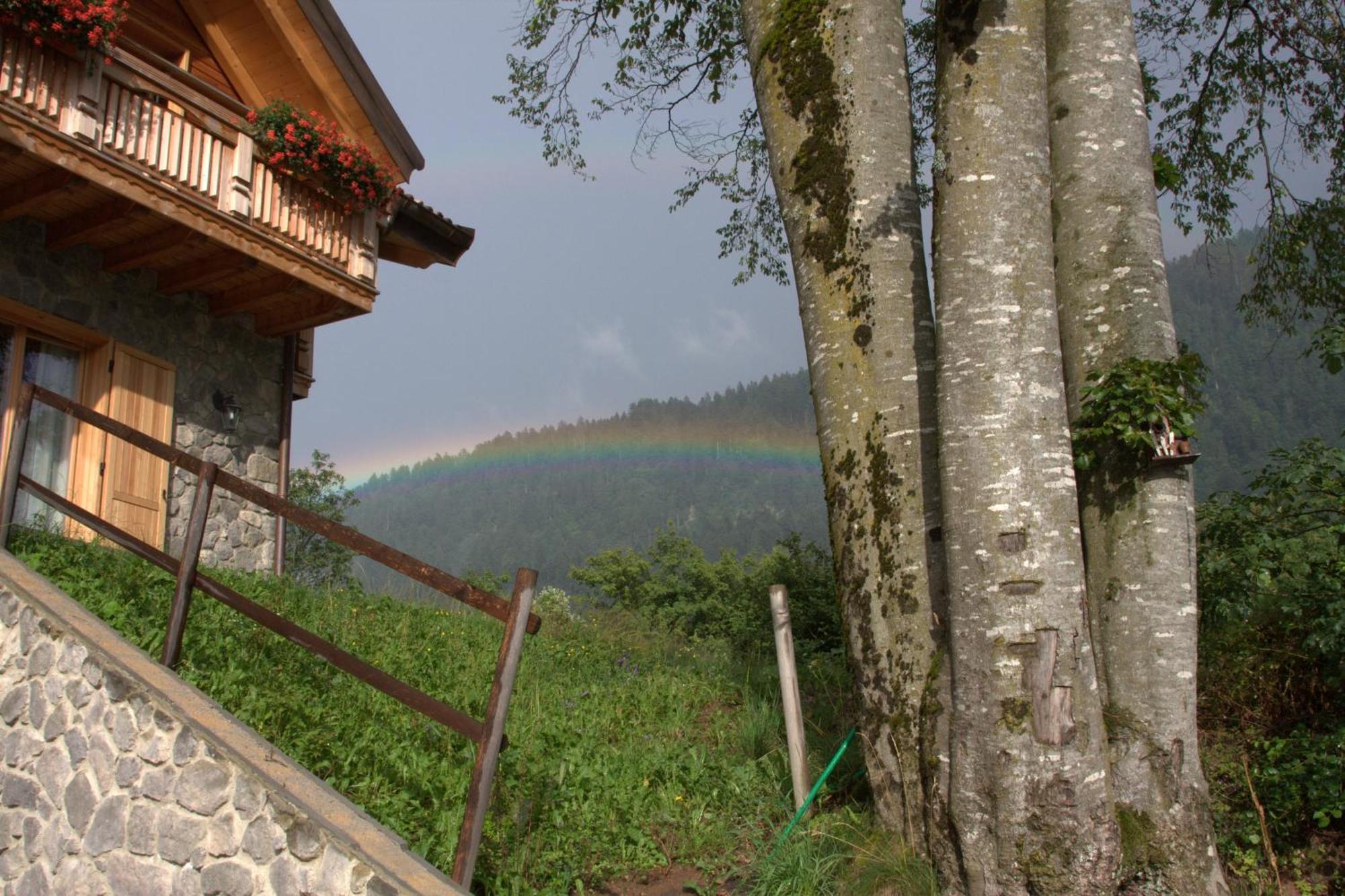 Agriturismo Ai Castioni Molveno Ngoại thất bức ảnh
